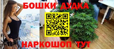 гашик Обь